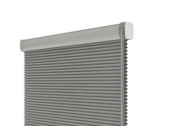 Standard System