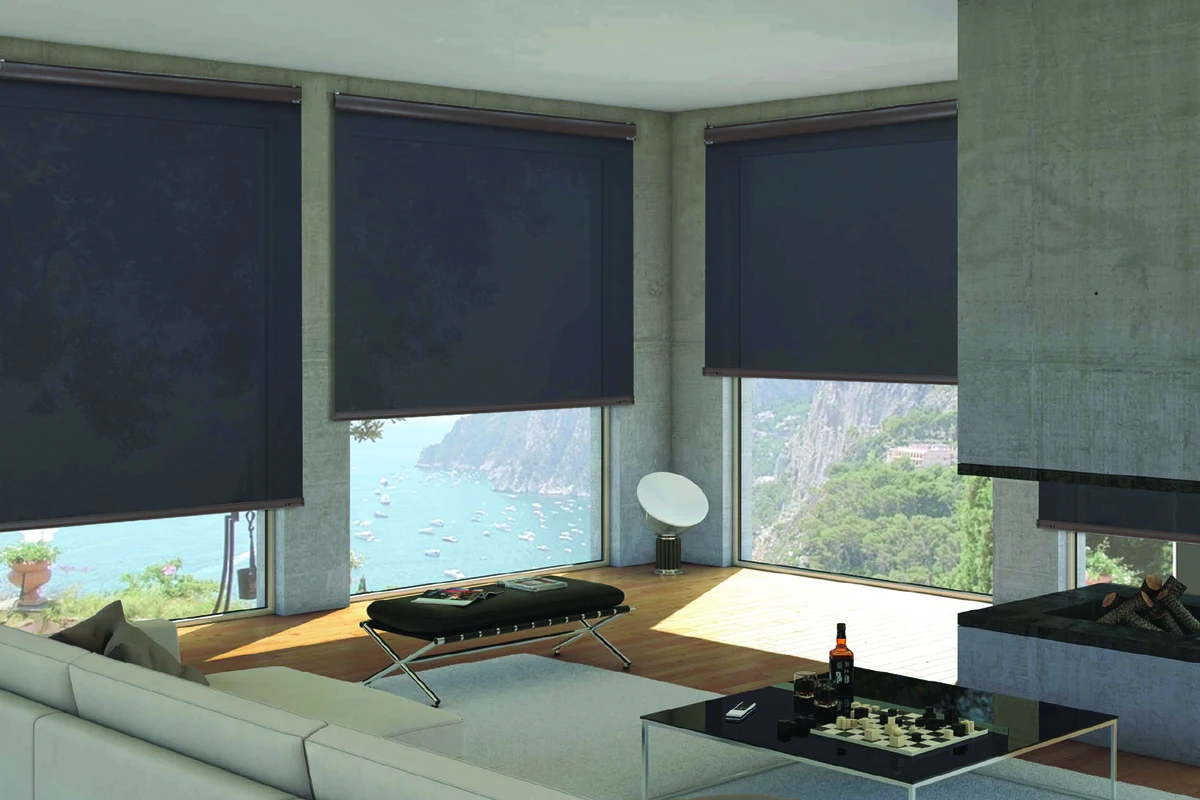 Roller Shades reference 4