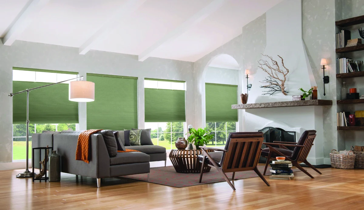 Honeycomb Shades reference 4