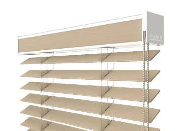 Ladder System